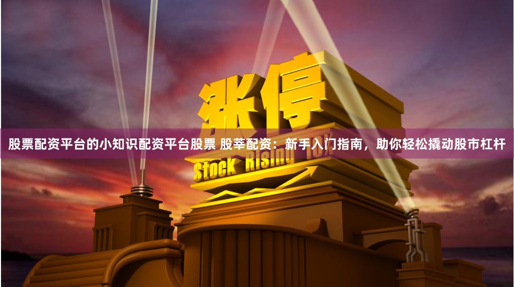股票配资平台的小知识配资平台股票 股莘配资：新手入门指南，助你轻松撬动股市杠杆