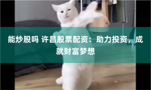 能炒股吗 许昌股票配资：助力投资，成就财富梦想