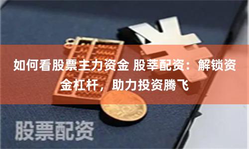 如何看股票主力资金 股莘配资：解锁资金杠杆，助力投资腾飞