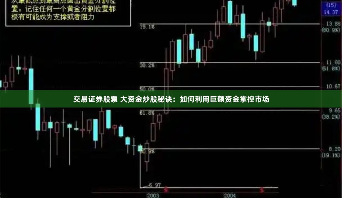 交易证券股票 大资金炒股秘诀：如何利用巨额资金掌控市场