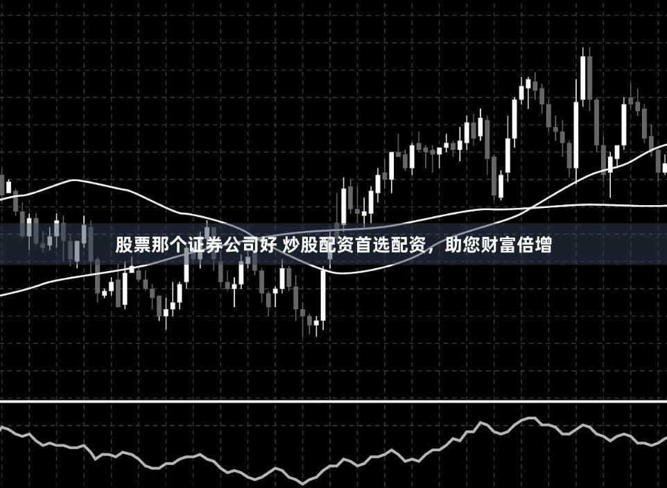 股票那个证券公司好 炒股配资首选配资，助您财富倍增